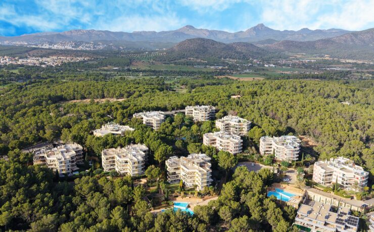 FLORESTA DEL MAR – SOL DE MALLORCA