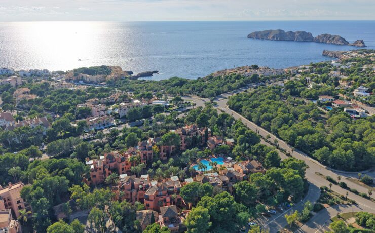 LOS PAMPANOS – SANTA PONSA