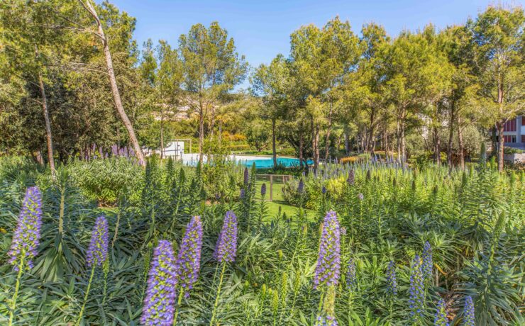 Luxurious garden apartment in Bendinat