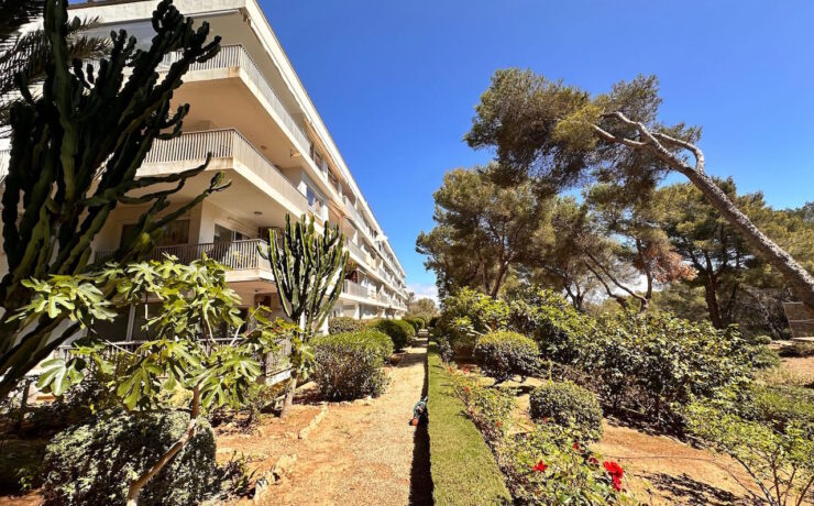Renovierte Meerblick-Wohnung Sol de Mallorca