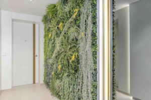 a wall of plants with a white wall