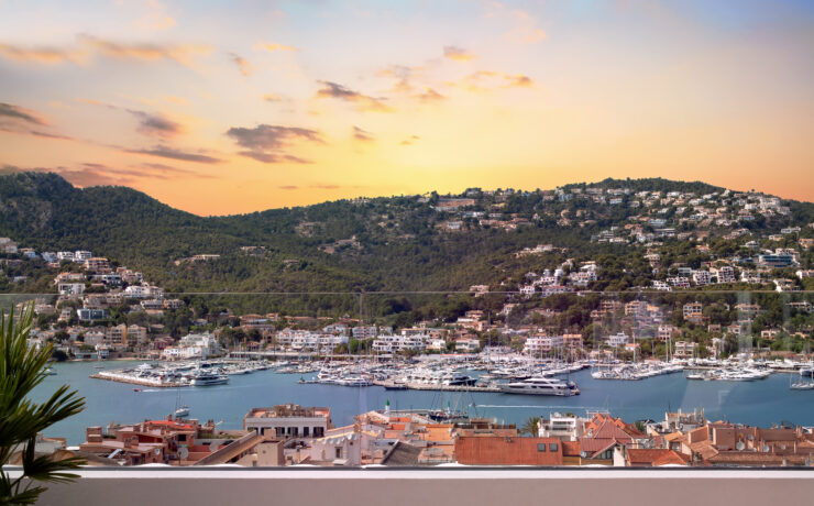 Haus kaufen Mallorca: Den Markt für Villen, Apartments und Fincas verstehen Haus kaufen Mallorca: Den Markt für Villen, Apartments und Fincas verstehen